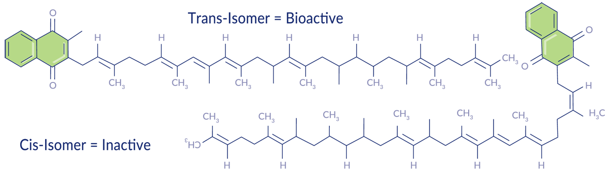 Trans vs Cis Isomers